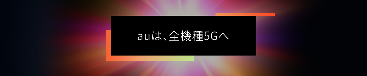 サイト内（全機種5G）.png